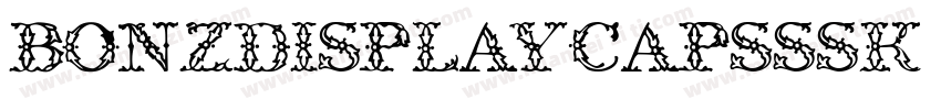BonzDisplayCapsSSK B字体转换